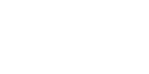 2BRO Security & IT Solutions LLC